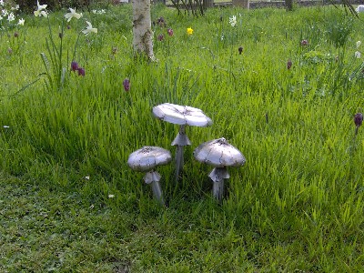 Three toadstools